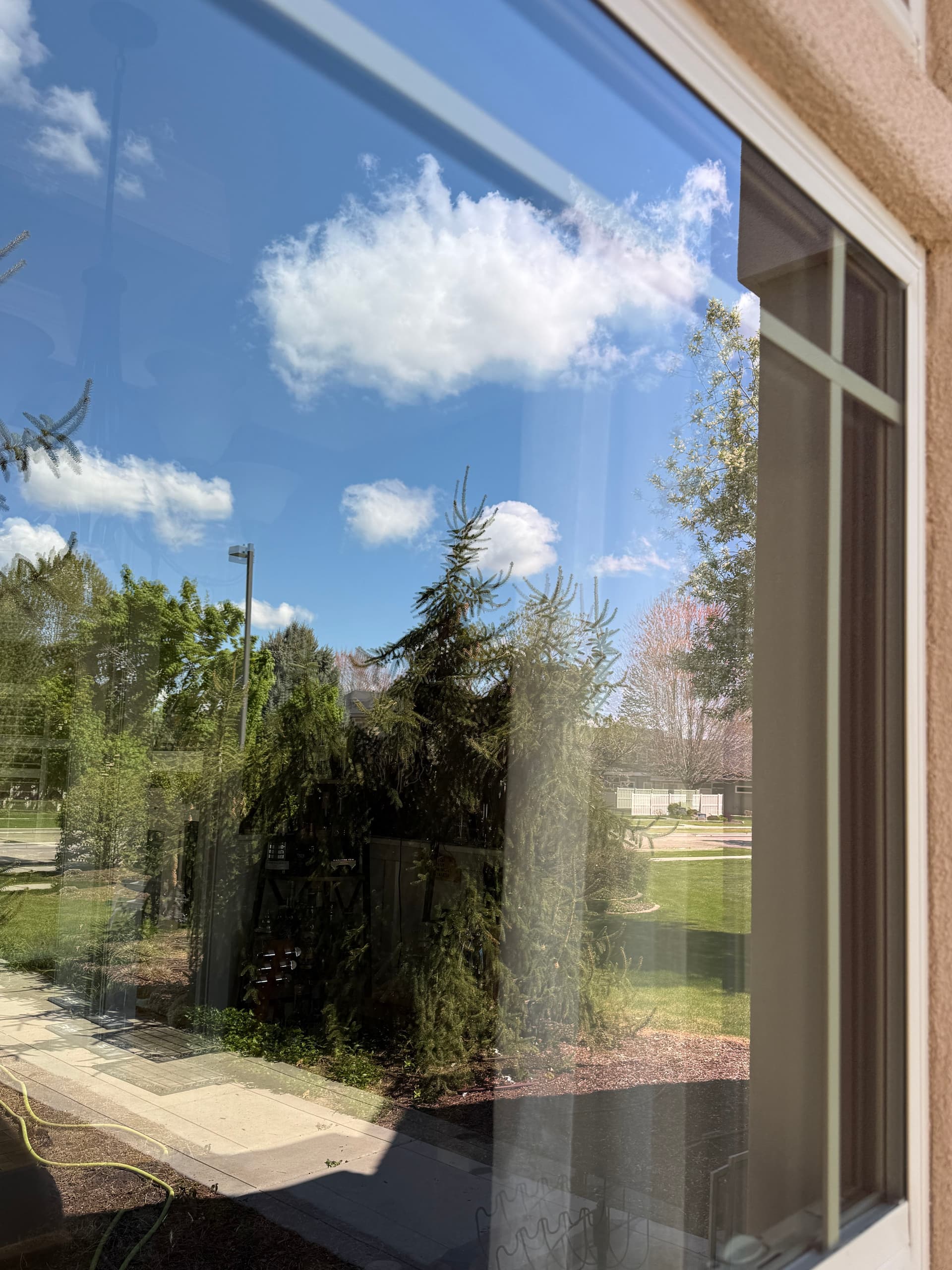 Gallery photos for What a Difference Clean Glass Actually Makes: Image #1