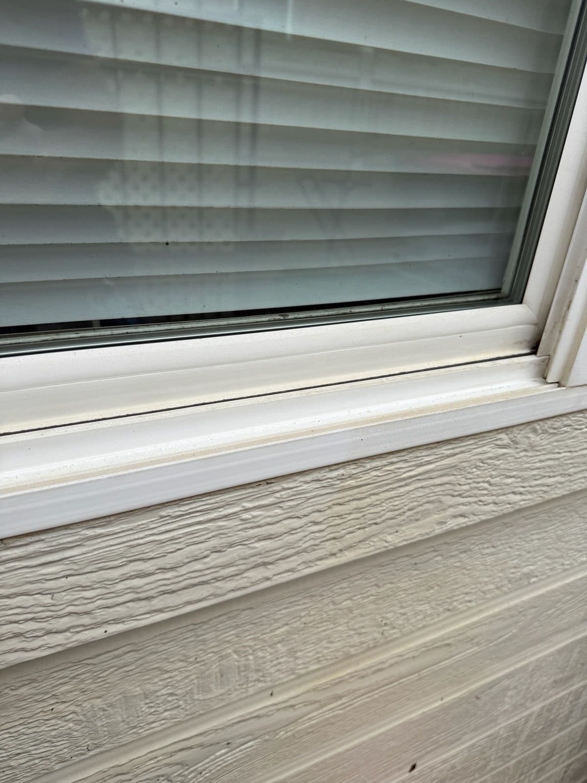 Get Your Windows Holiday-Ready with Pro Services image