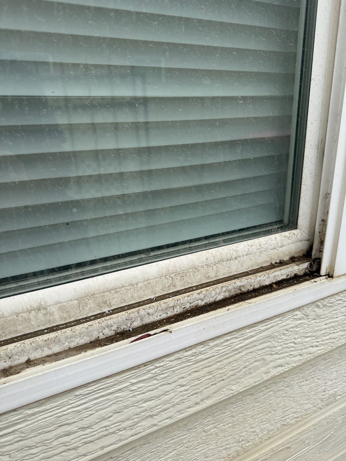 Gallery photos for Get Your Windows Holiday-Ready with Pro Services: Image #1