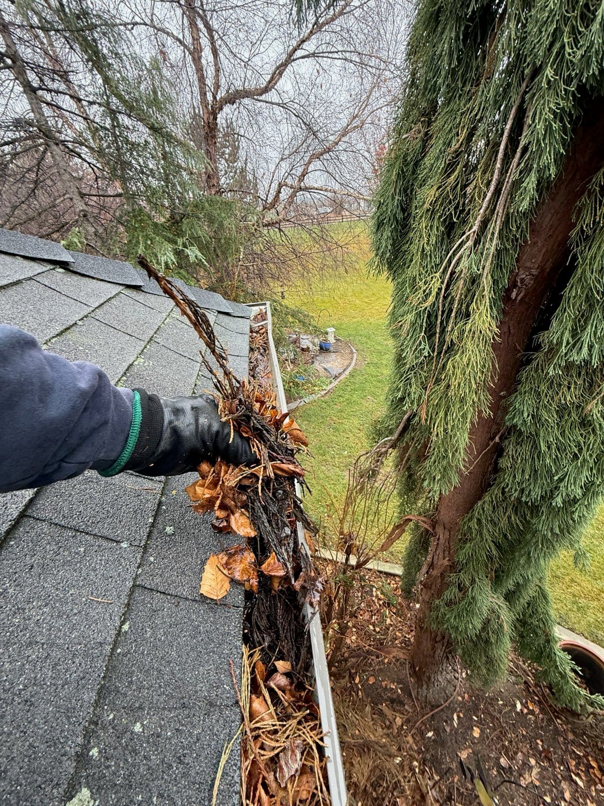 Effective Gutter Cleaning in Meridian