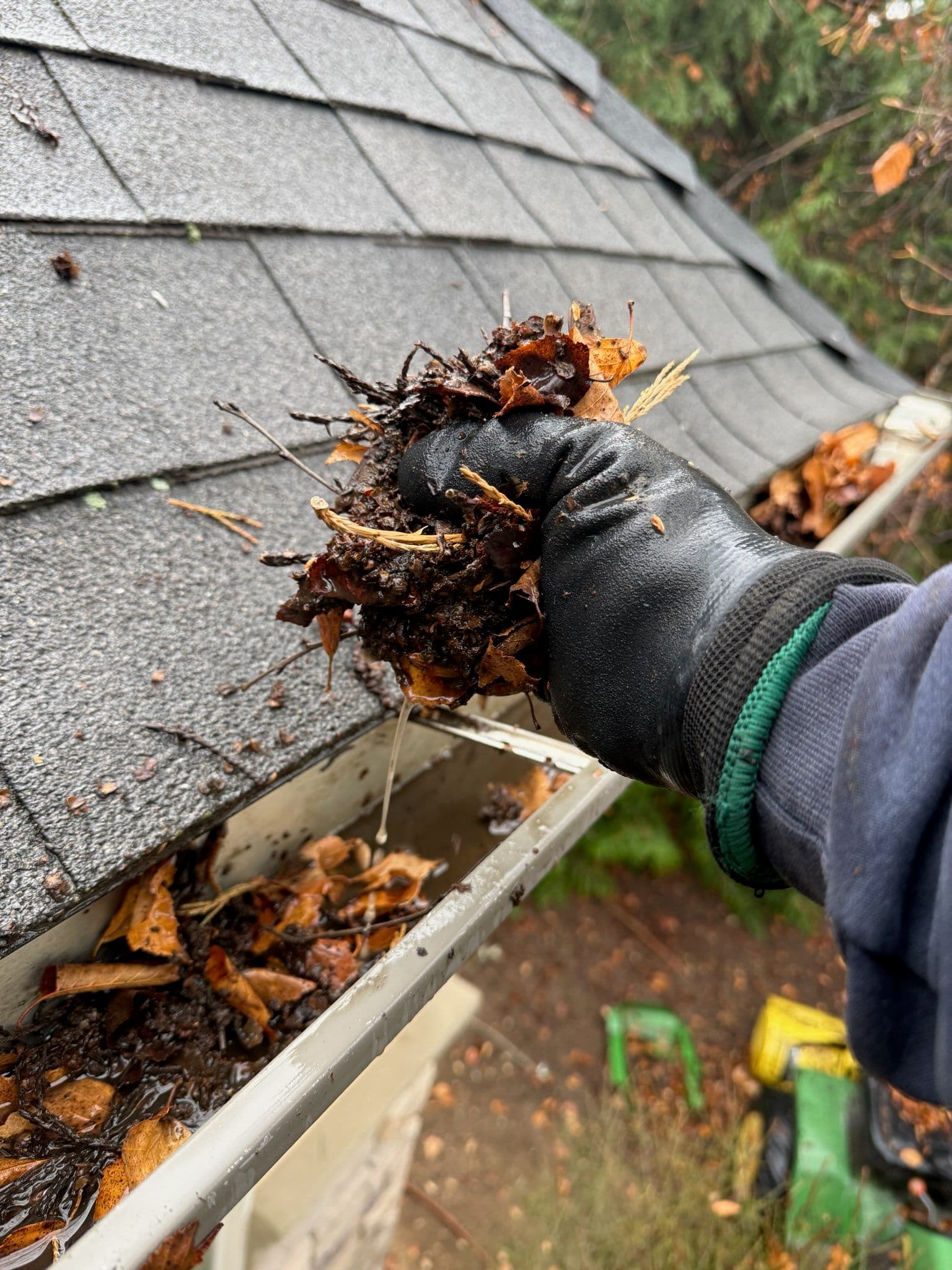 Project Protect Your Home this Rainy Season with Expert Gutter Cleaning image