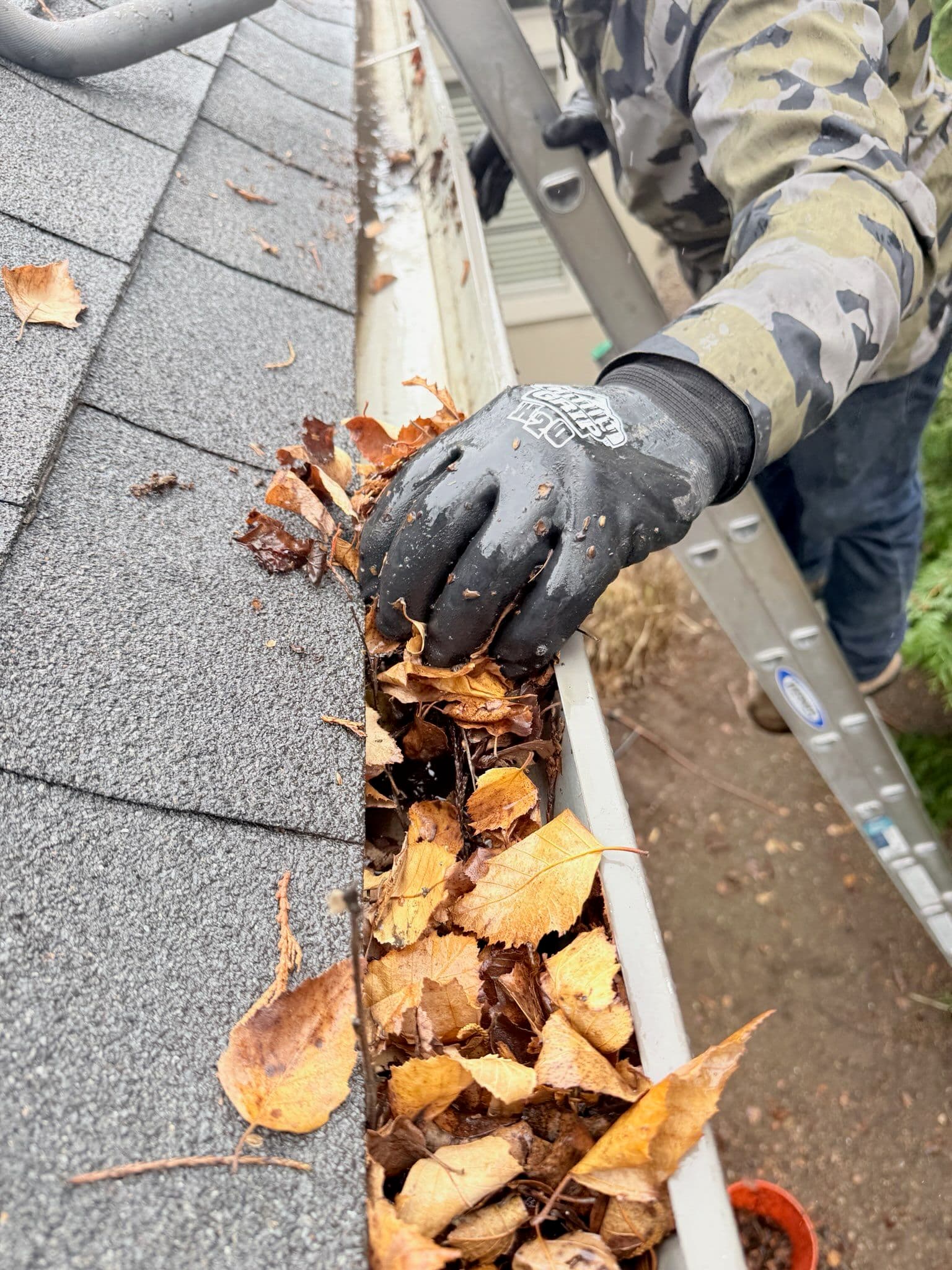 Project Reliable Gutter Cleaning Services Right When You Need Them image