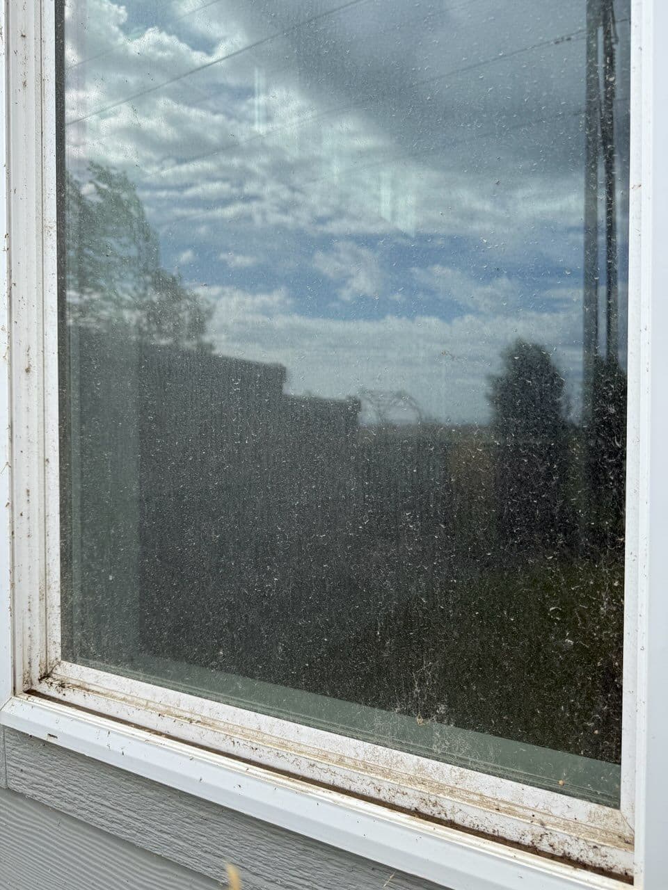Sparkling Window Cleaning Transformation image