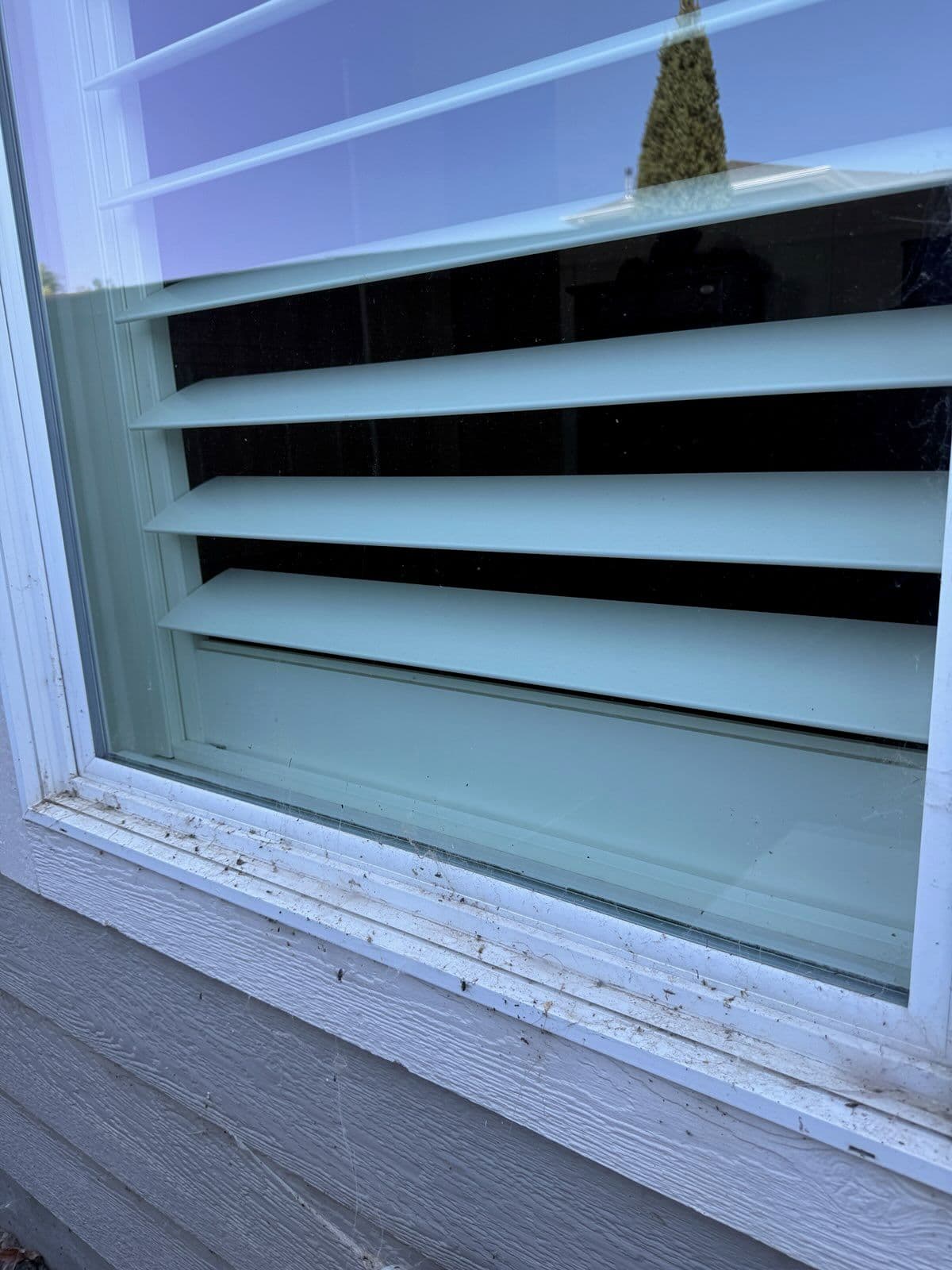 Magically Clean Windows in Meridian image