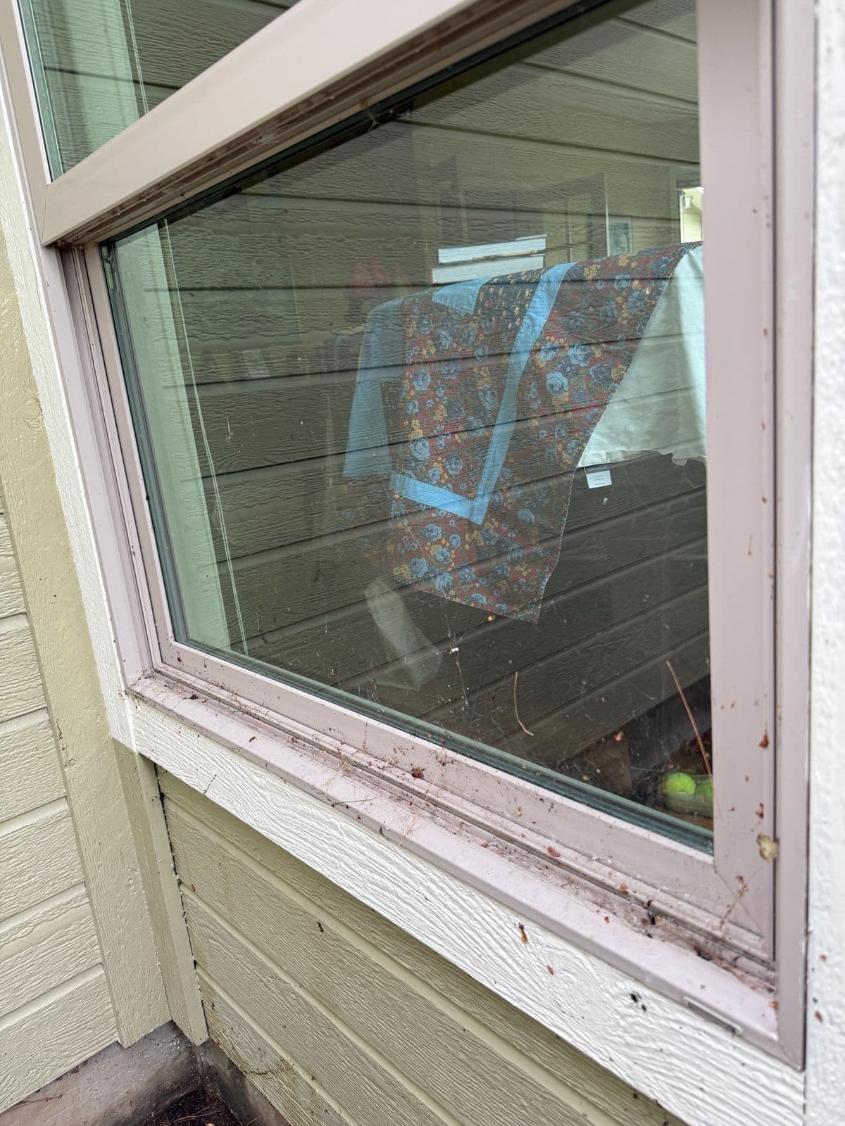 Stunning Boise Window Transformation image