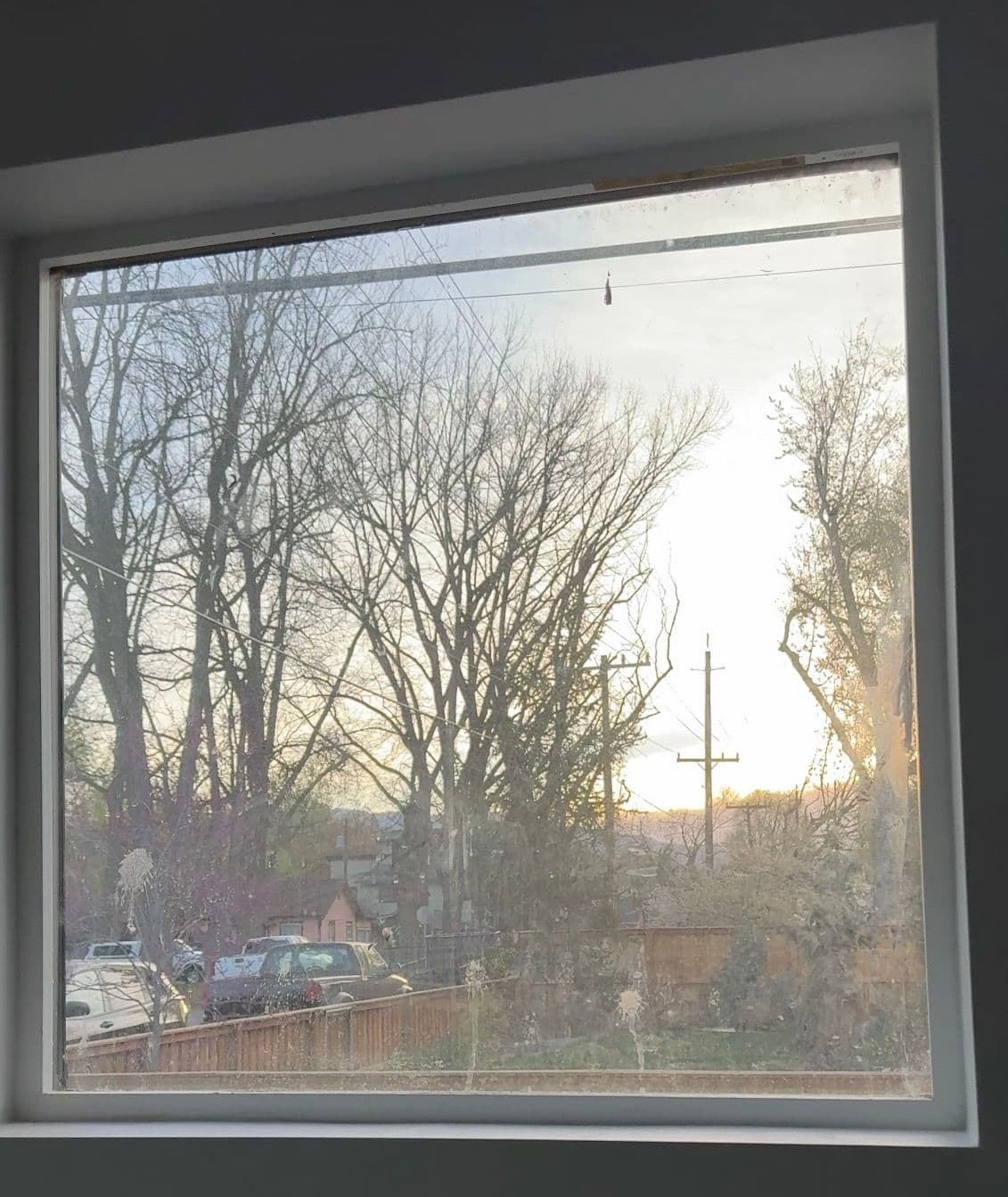 Brighten Up Your Spring Days with Stunningly Clean Windows image