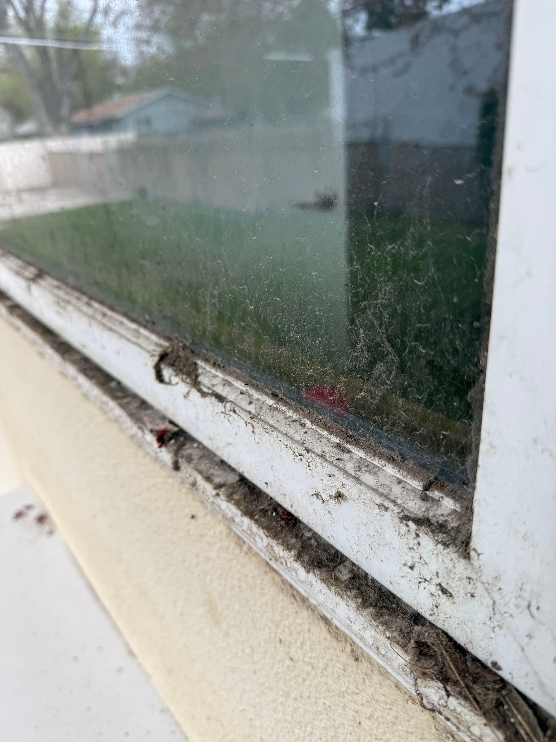 No Window Is Too Dirty for Our Team image